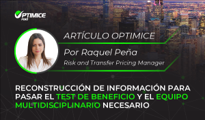 Reconstruccion-de-informacion-para-pasar-el-Test-de-Beneficio-y-el-equipo-multidisciplinario-necesario